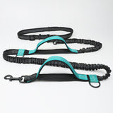 Multi-Function Elastic & Reflective Dog Leash