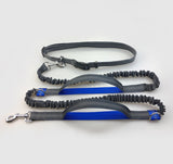 Multi-Function Elastic & Reflective Dog Leash