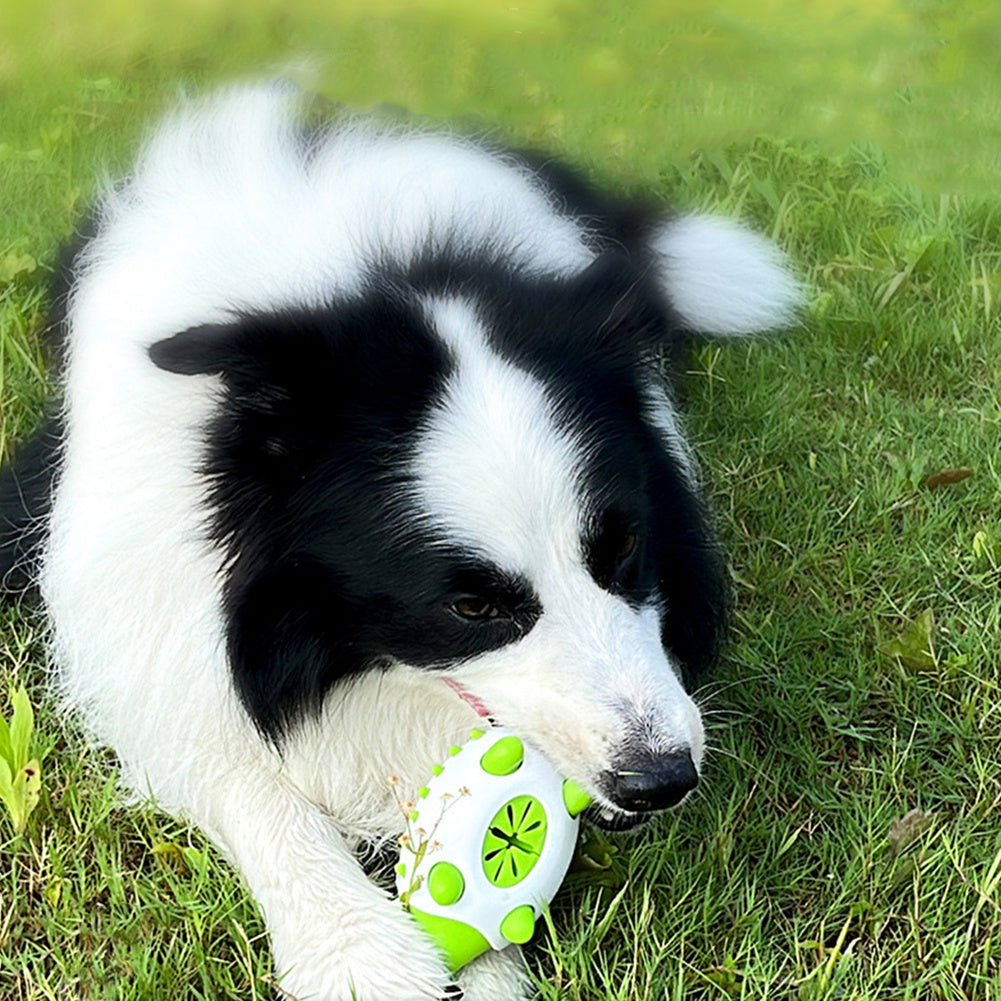 Teeth Cleaning Hedgehog Dog Toy