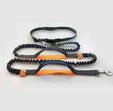 Multi-Function Elastic & Reflective Dog Leash