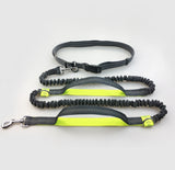 Multi-Function Elastic & Reflective Dog Leash