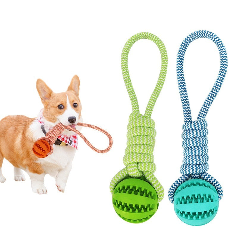 Small Dog Treat Balls & Chew Toys